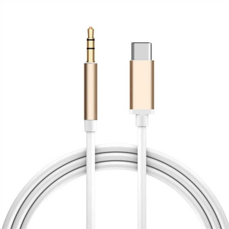 type c to 3.5 mm aux cable (1)